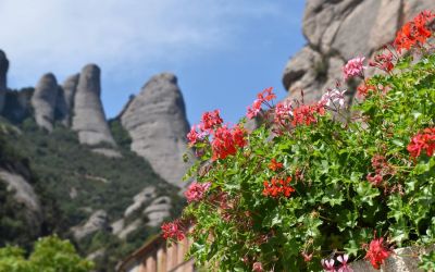 Visit Montserrat From Barcelona Montserrat Withlocals (59)