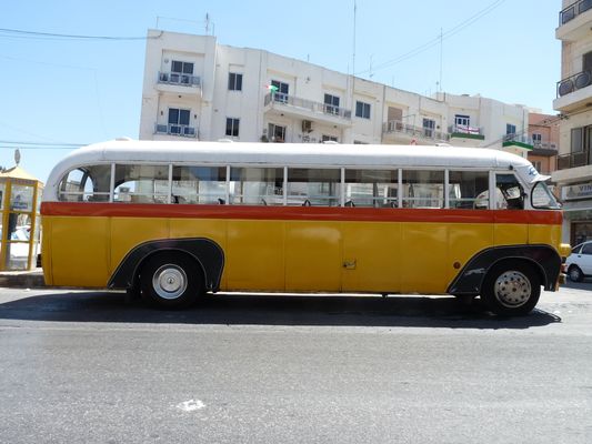 Maltese bus