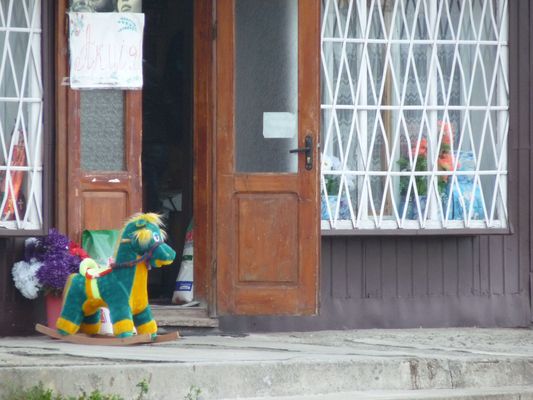 a horse outside a shop in Ukraine
