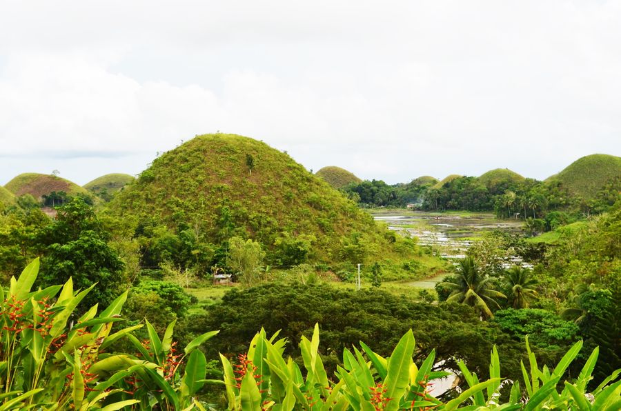 Sagbayan Peak Bohol