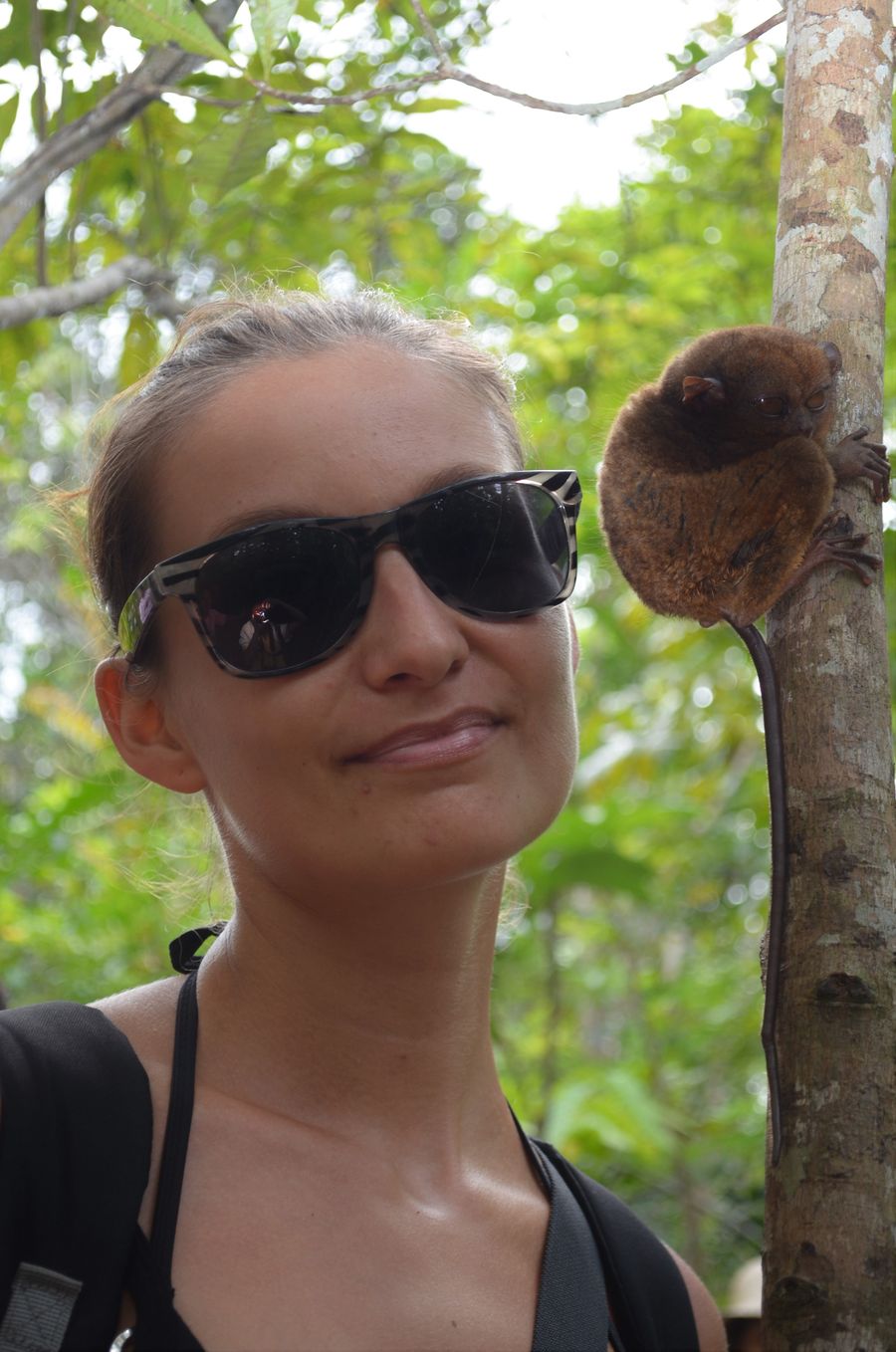 Tarsier sanctuary Bohol