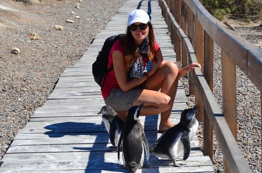 crazy sexy fun traveler and her first photo with penguins in Punta Tombo