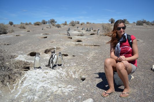 crazy sexy fun traveler with Magellanic penguins in Punta Tombo