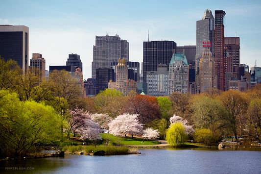 Central Park in spring