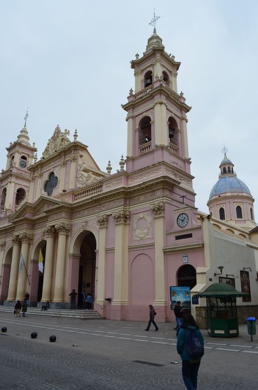 pinky Cathedral in Salta