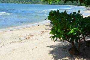 Playa Blanca in Cahuita