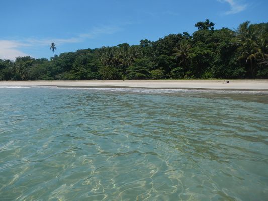 clear water at Manzanillo beach