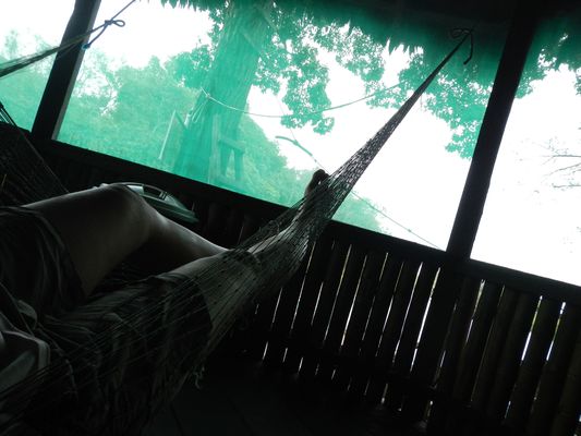 siesta in the hammock