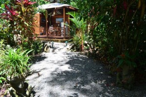 the entrance to my Root house