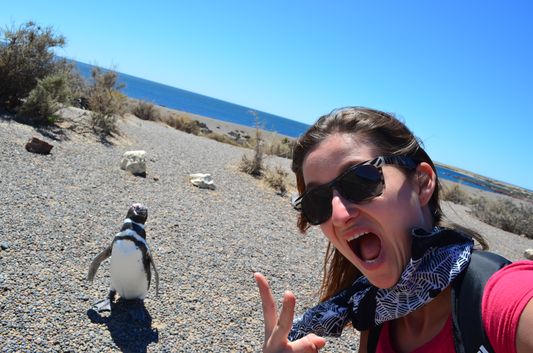 with penguins in Punta Tombo