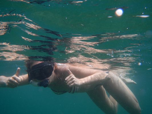 crazy sexy fun traveler snorkeling around mangroves