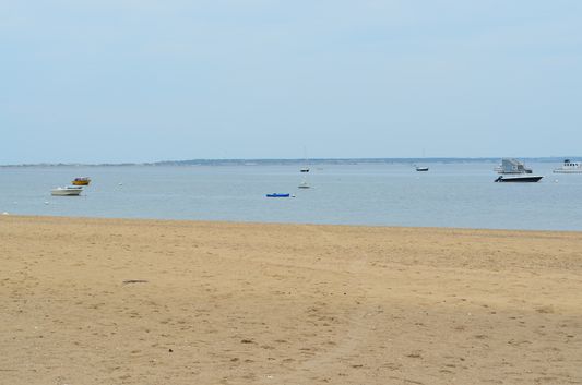 one of the beaches on Cape Cod