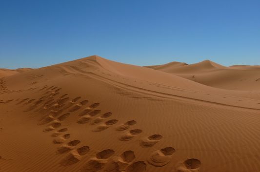 beautiful Sahara dunes
