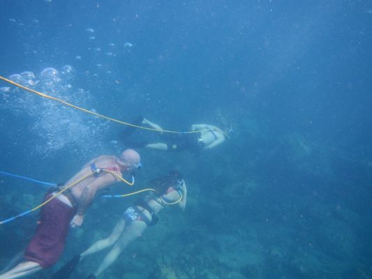 snuba diving on St. Kitts