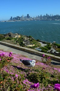 overlooking San Francisco