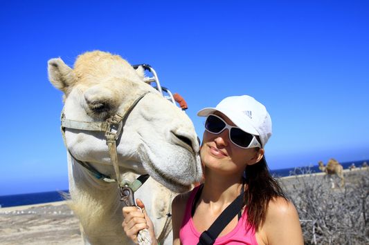 the day I was kissed by a camel