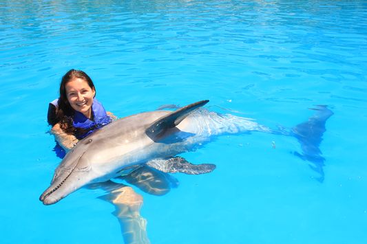 swimming with dolphins in Cabo San Lucas