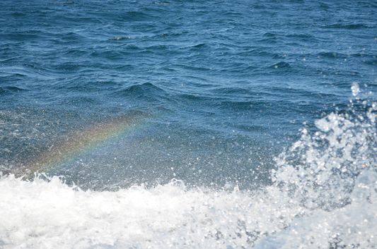 waves creating a rainbow along the boat