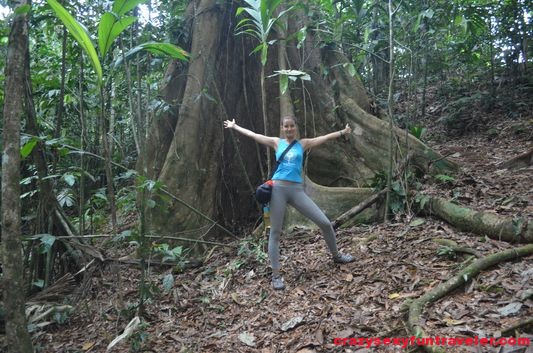 Samasati Nature Retreat Costa Rica (45)