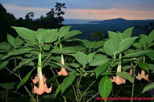 Samasati Nature Retreat Costa Rica (70)