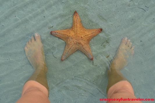 Starfish beach Bocas del Toro (11)