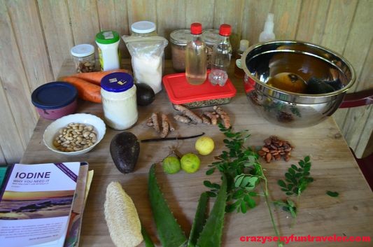 raw vegan diet Hidden Garden workshops (1)