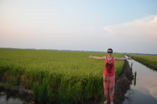 Kerala Backwaters paddy fields  (49)