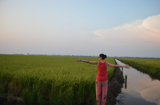 Kerala Backwaters paddy fields  (50)