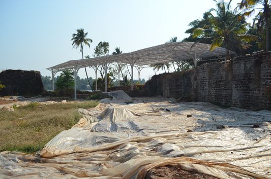 Muziris Pattanam excavation site (5)