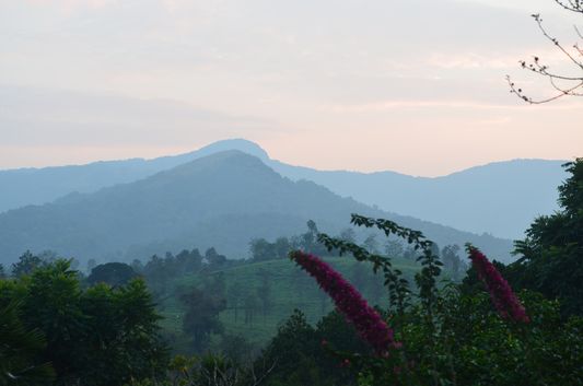 Wayanad homestay Pranavam Kerala India (139)