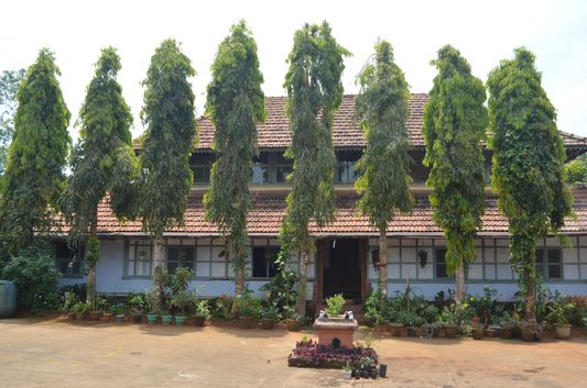 Wayanad homestay Pranavam Kerala India (76)