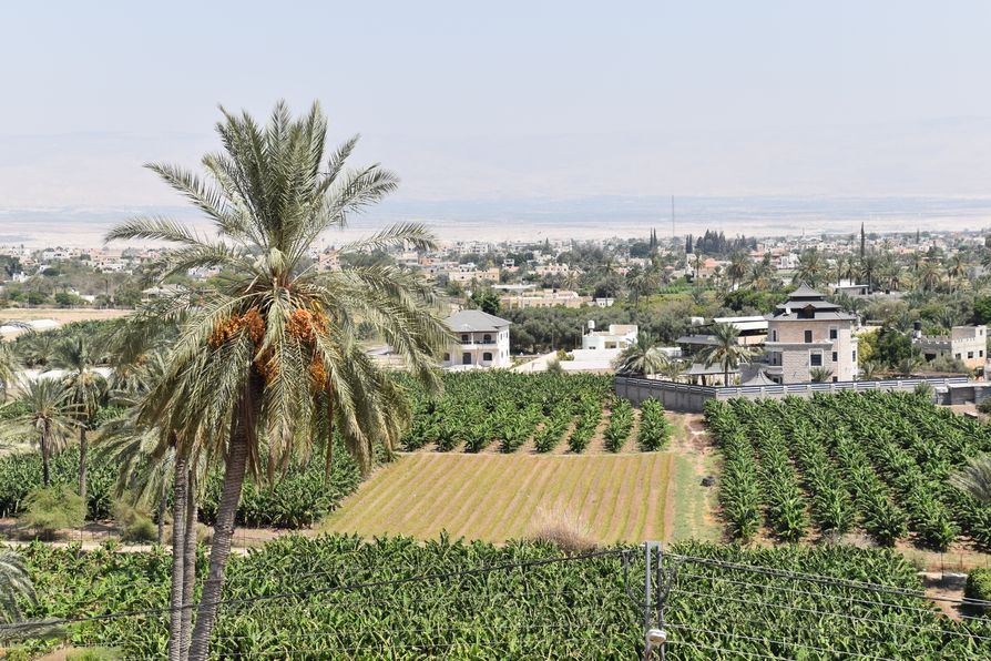Jericho West Bank Palestine (158)
