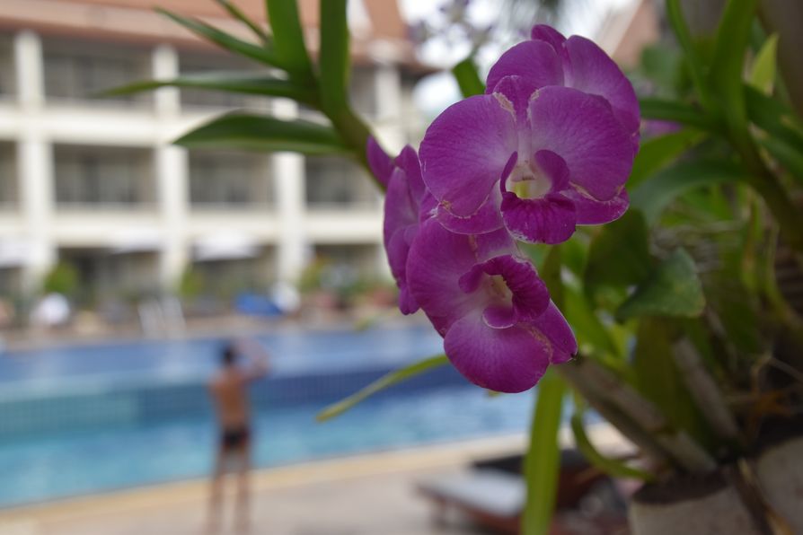 Deevana Patong Resort & Spa (19)