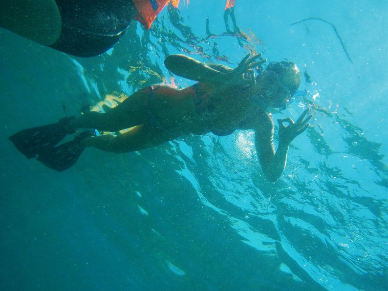 Snorkeling and scuba diving essay