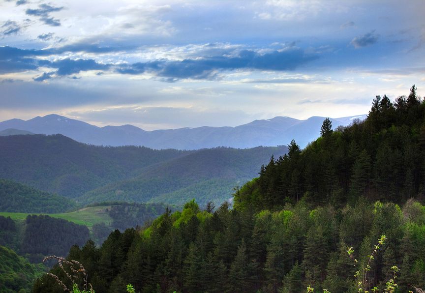 Dilijan-national park