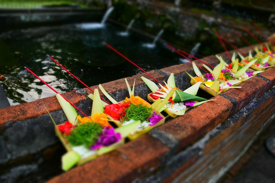 Gunug Kawi Sebatu Tegallalang water temple Bali (11)