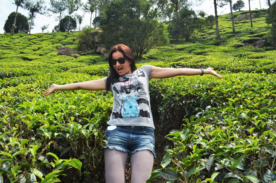 Munnar tea plantations and other landmarks (13)