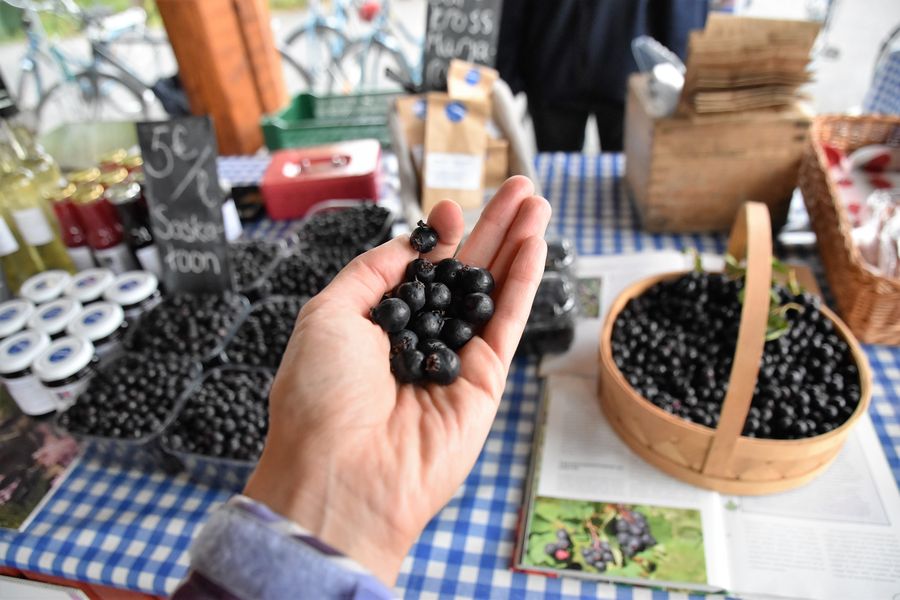 saskatoon-berries-finland