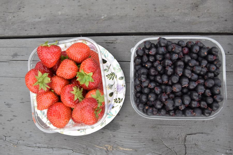 fresh-berries-in-finland