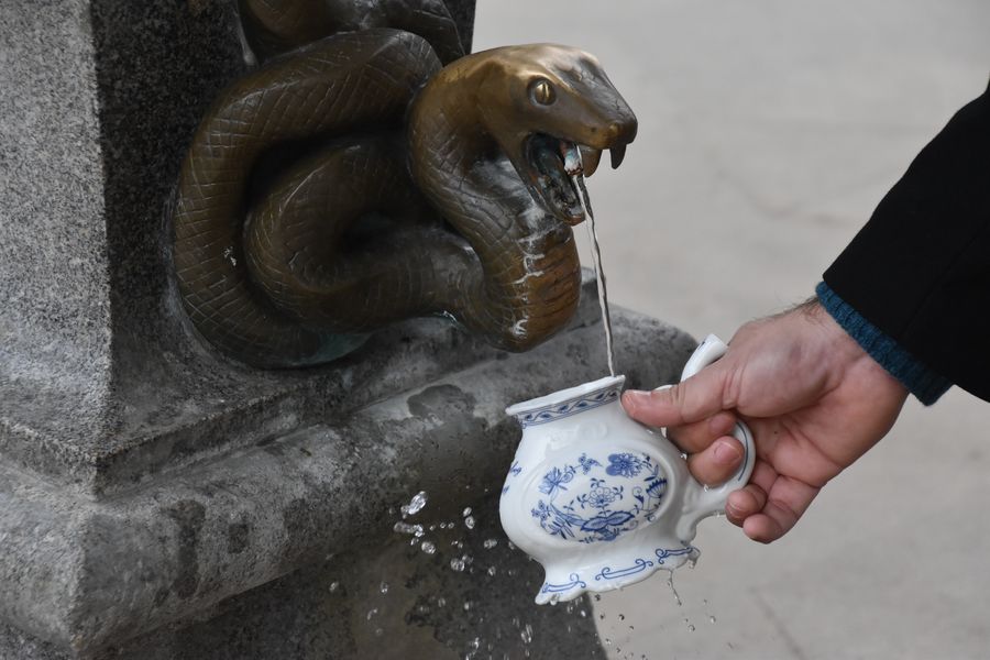 things-to-do-in-karlovy-vary-czech-republic-snake-spring-15-120