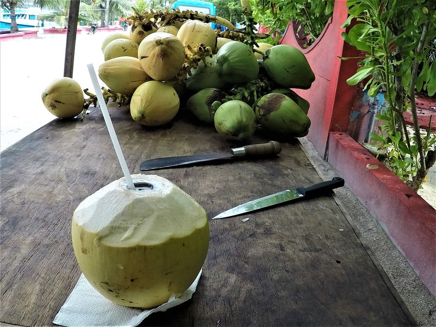 coconut at Thin Ari Thoddoo Maldives