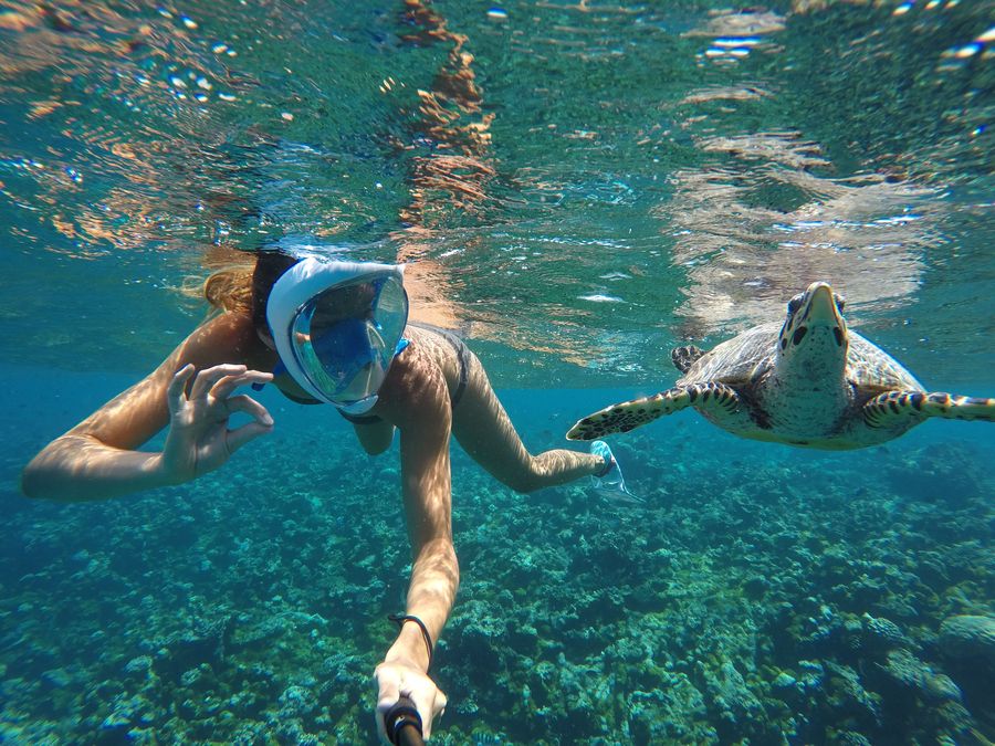 snorkeling with turtles Gaafaru Maldives