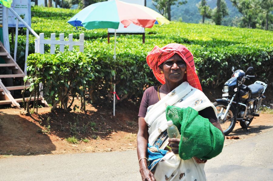 a kind local woman in Munnar