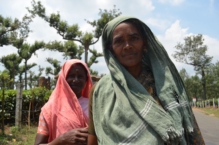 local women in Munnar