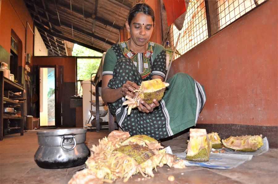 preparing jackfruit for eating