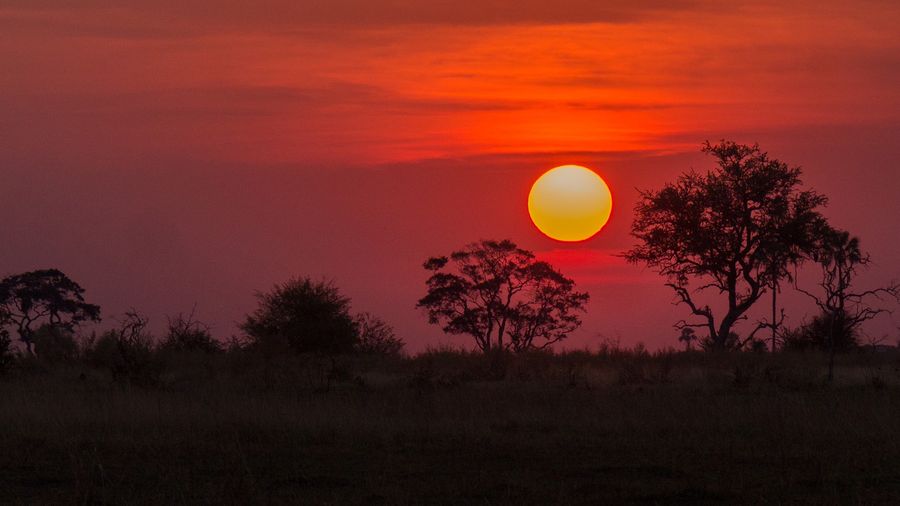 Botswana sunsets