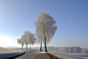 beautiful winter landscape