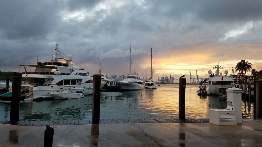 Miami Harbor