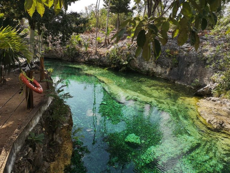 Unforgettable cenote Santa Cruz Tulum - Crazy sexy fun traveler ...