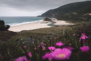 a beach in California